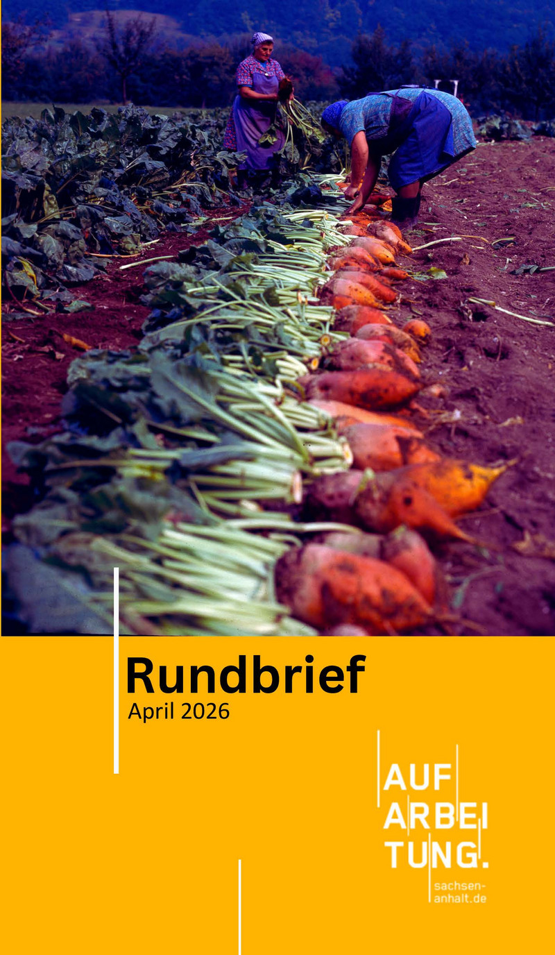 Zuckerrübenernte, Köpfen der Rübe von Hand (Titelbild)